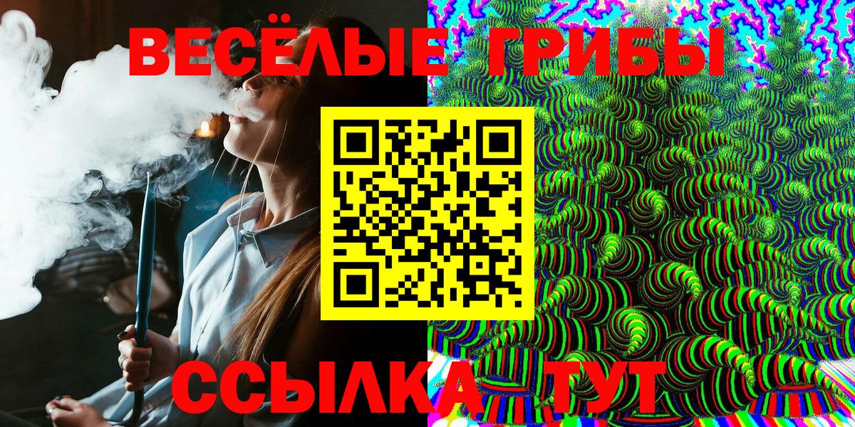 Галлюциногенные грибы Psilocybine cubensis Георгиевск